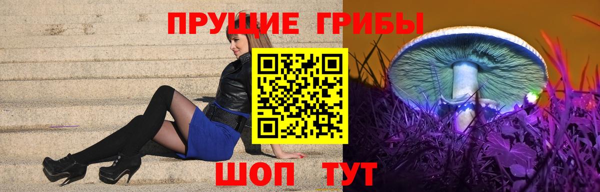 Псилоцибиновые грибы ЛСД  Псилоцибиновые грибы Psilocybe  Вход с VPN  Каменка 